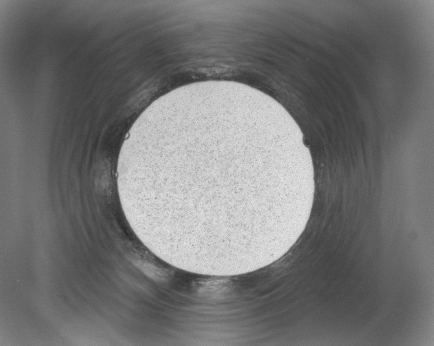 X0000078850132200612111631