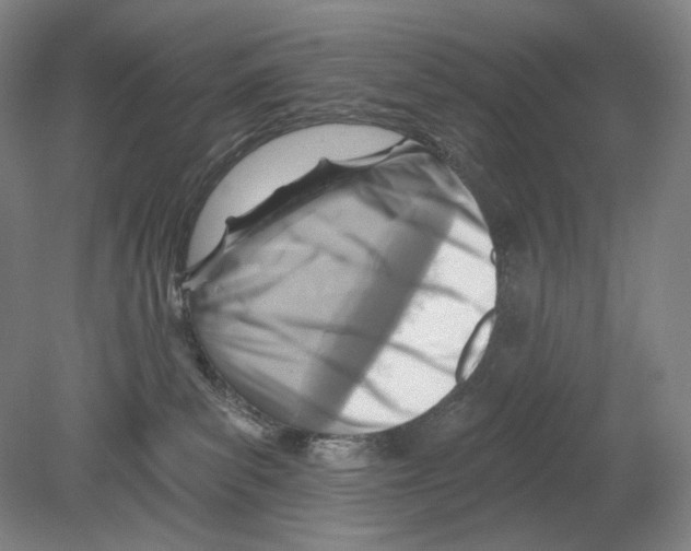 X0000078850139200612111631