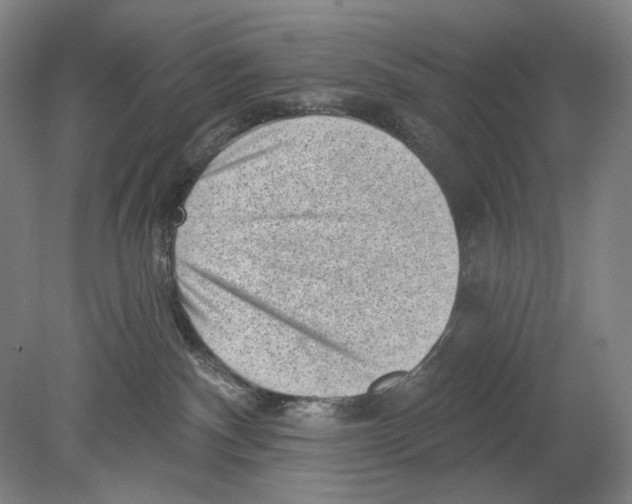 X0000078850140200612111631