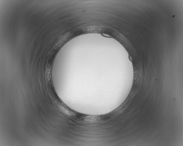 X0000078850142200612111631
