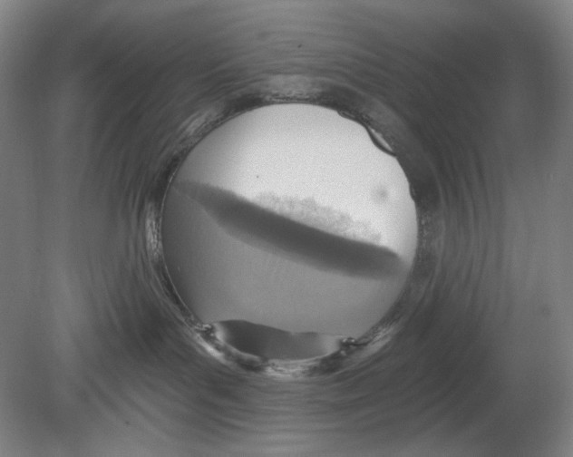 X0000078850143200612111631