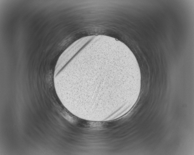 X0000078850144200612111631