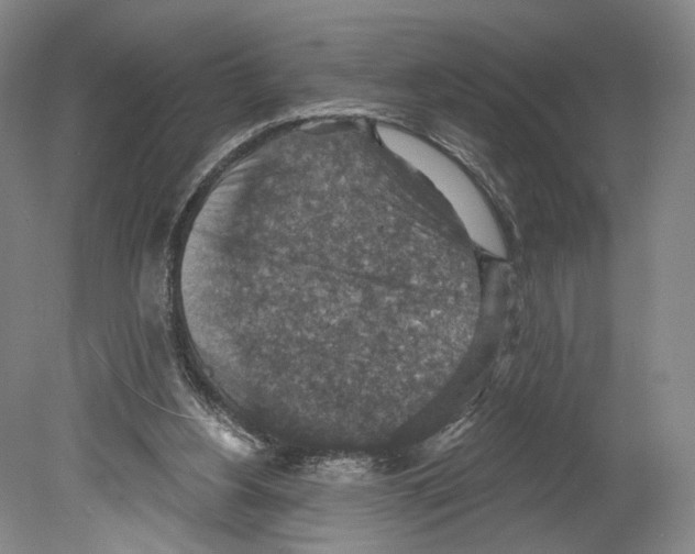 X0000078850156200612111630
