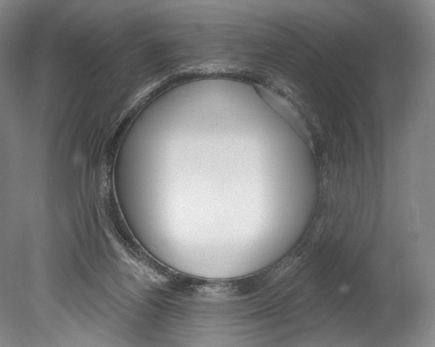X0000078850164200612111631
