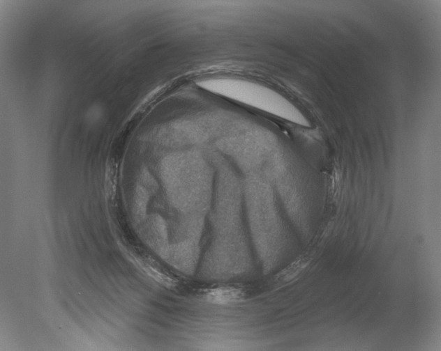 X0000078850168200612111631