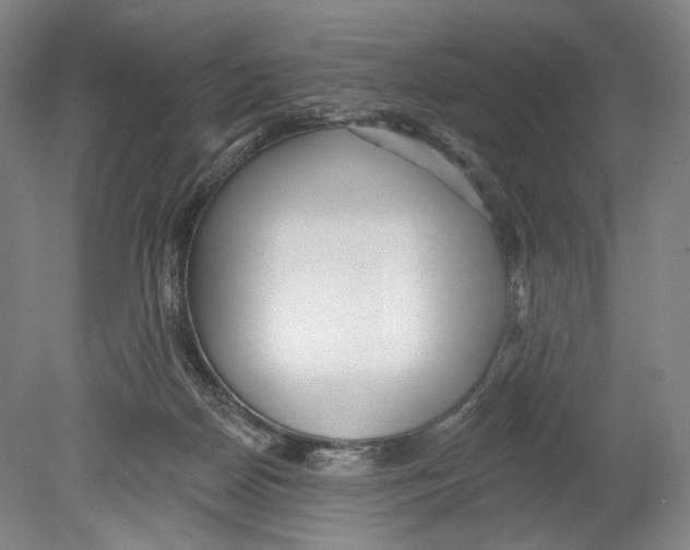 X0000078850170200612111631