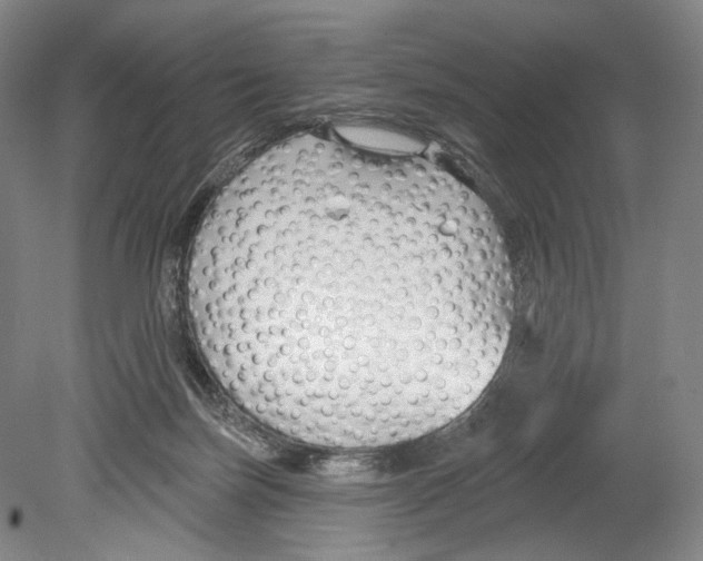 X0000078850171200612111631