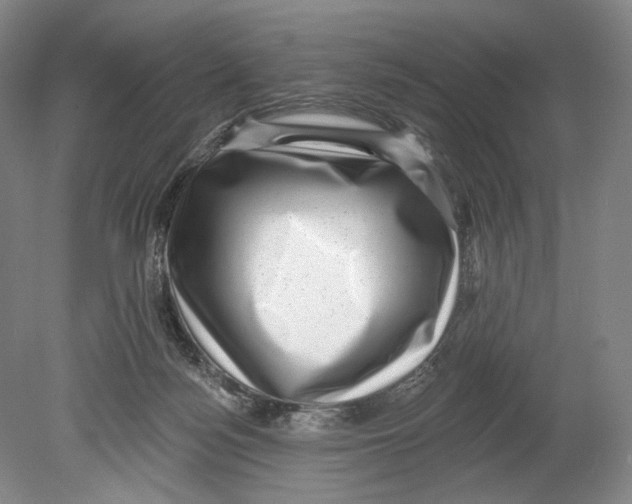 X0000078850172200612111631