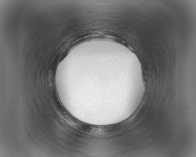 X0000078850174200612111631