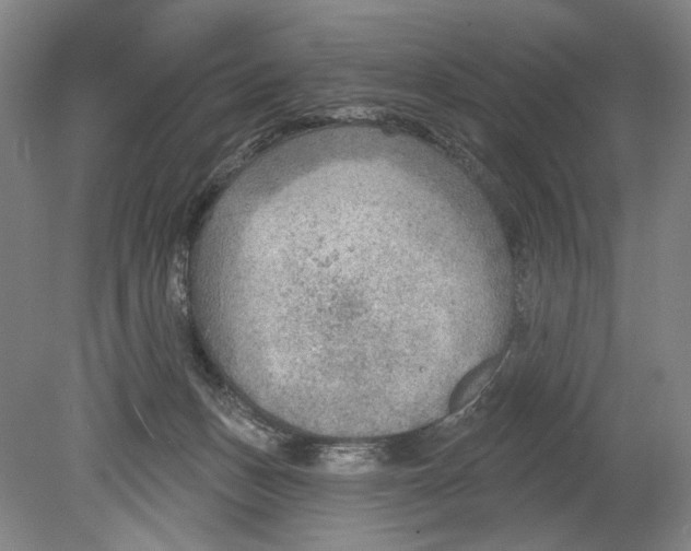X0000078850175200612111631