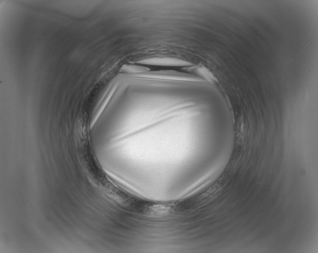 X0000078850176200612111631