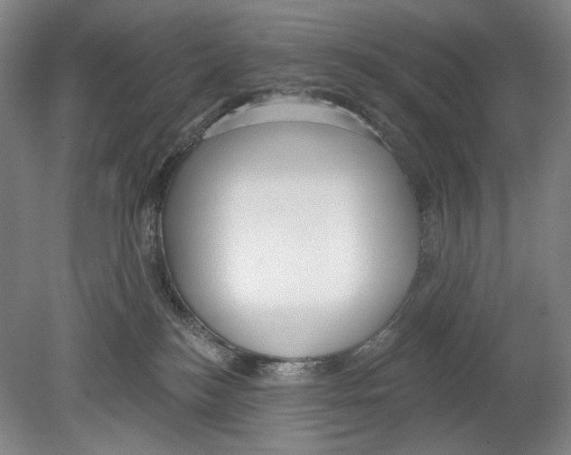 X0000078850184200612111631