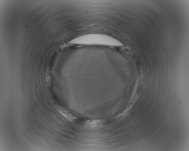 X0000078850186200612111631