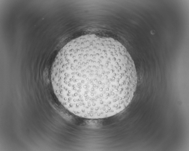 X0000078850187200612111631