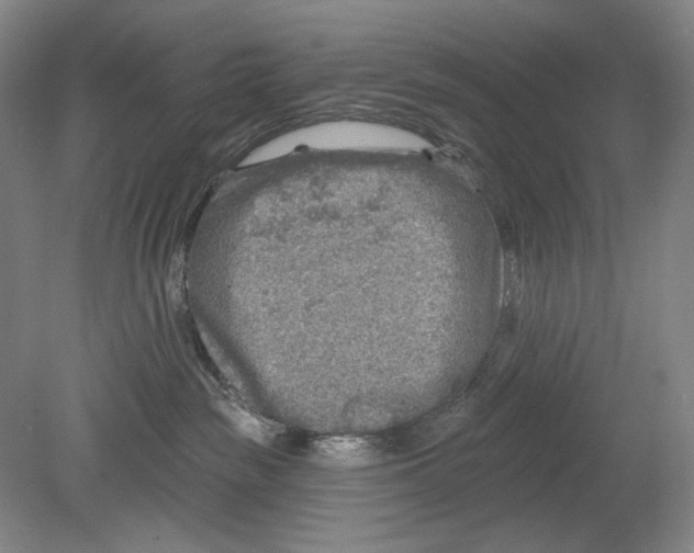 X0000078850189200612111631