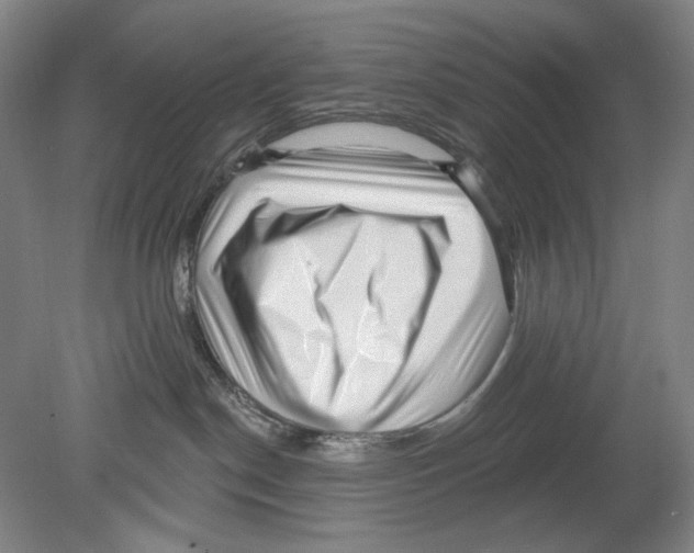 X0000078850190200612111631