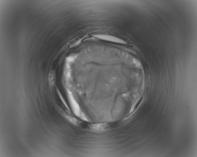 X0000078850191200612111631
