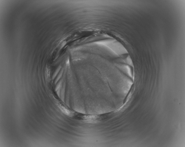 X0000078850192200612111631