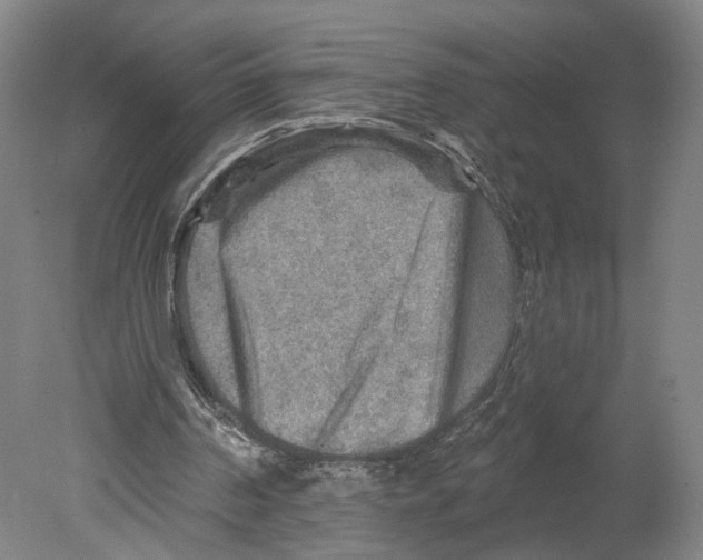 X0000078850194200612111630