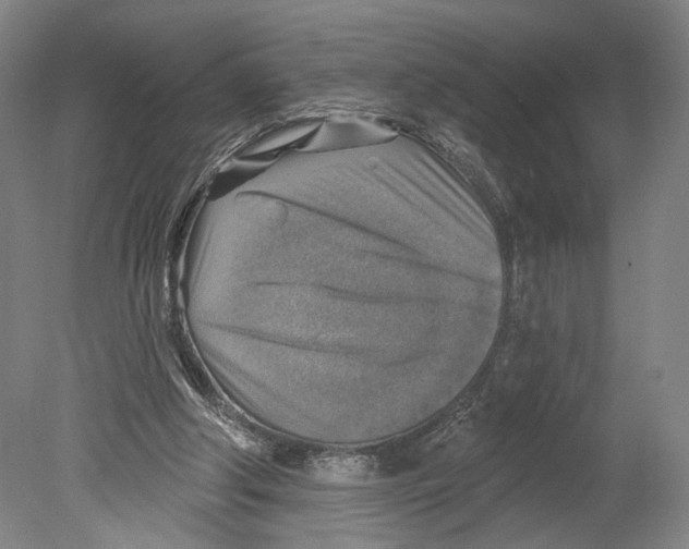 X0000078850202200612111630