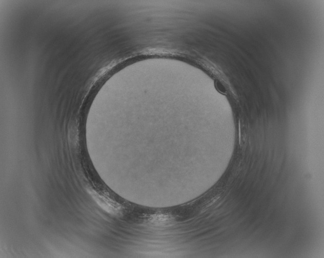 X0000078850204200612111630