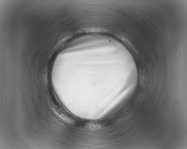 X0000078850207200612111630