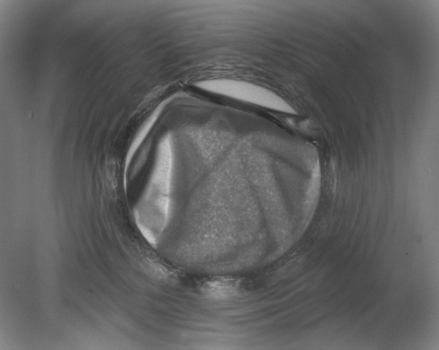 X0000078850232200612111630