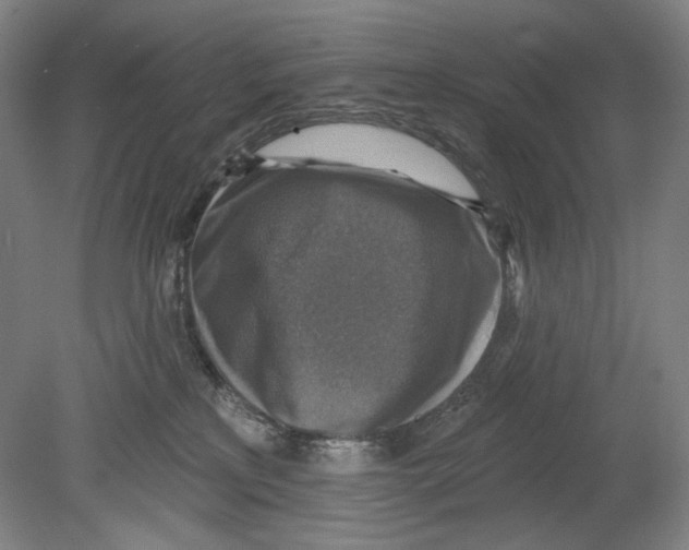 X0000078850233200612111630