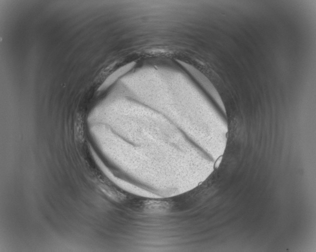X0000078850234200612111629