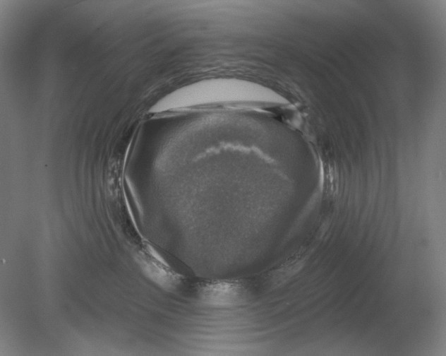 X0000078850237200612111629