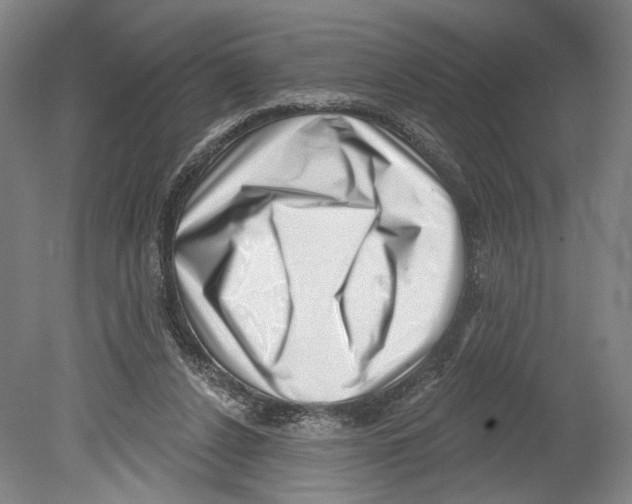 X0000078850256200612111629