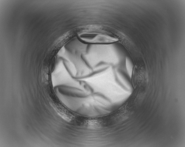 X0000078850264200612111629