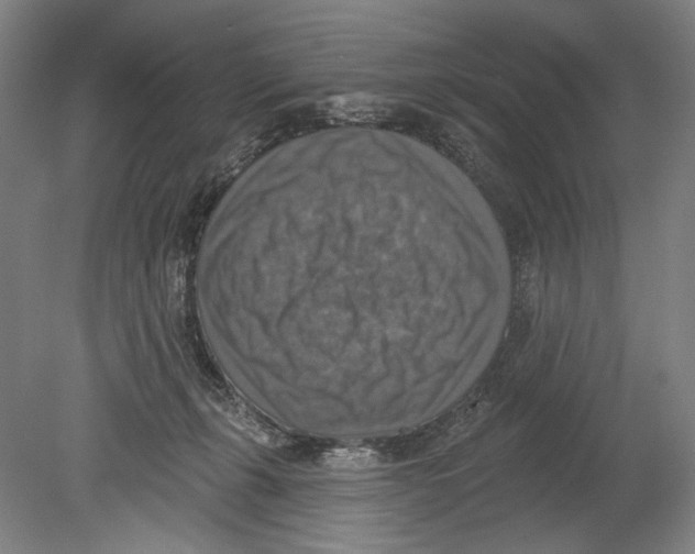 X0000078850271200612111629