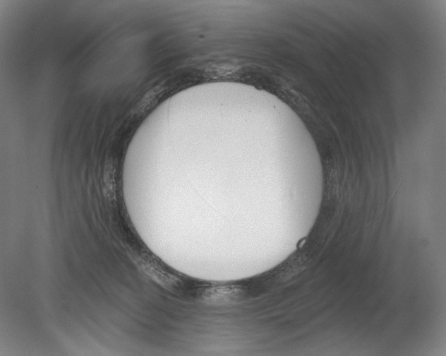 X0000078850274200612111629