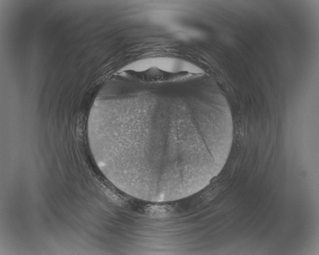X0000078850277200612111629