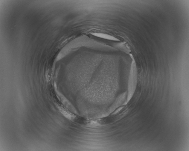 X0000078850285200612111629