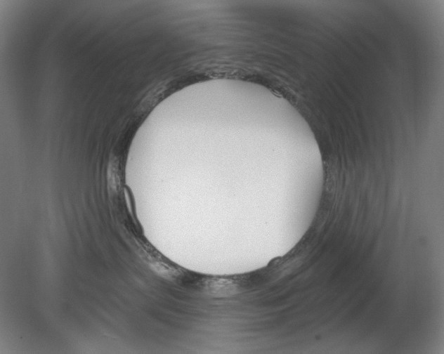 X0000078850287200612111629