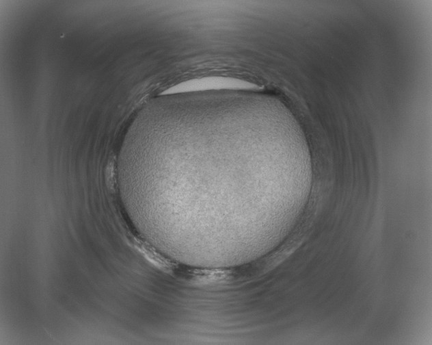 X0000078850288200612111629