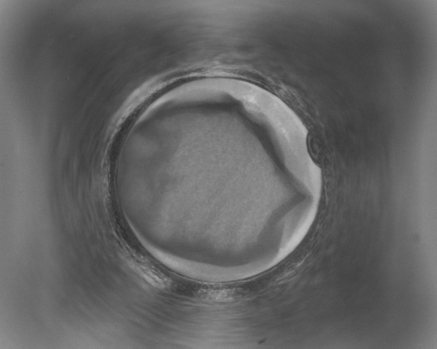 X0000078850295200612111628