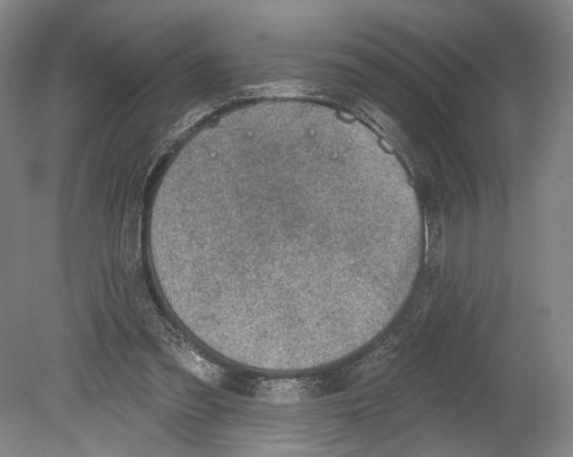 X0000078850301200612111628