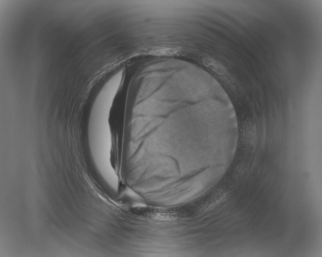 X0000078850303200612111628
