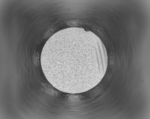 X0000078850332200612111628