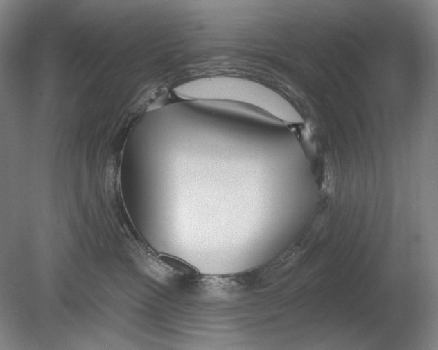 X0000078850333200612111628