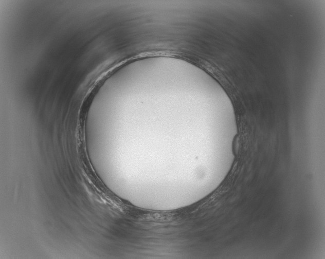 X0000078850338200612111627