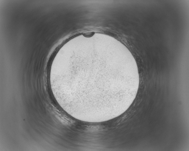 X0000078850342200612111627