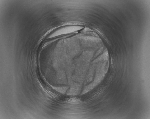X0000078850348200612111627