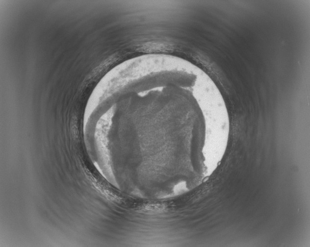 X0000078850353200612111627