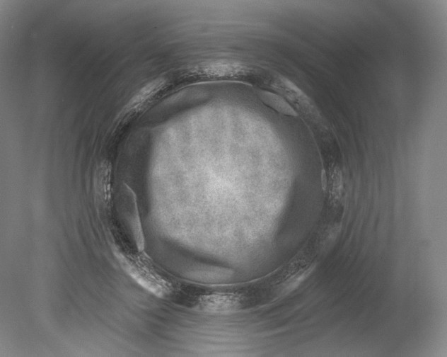 X0000078850356200612111627
