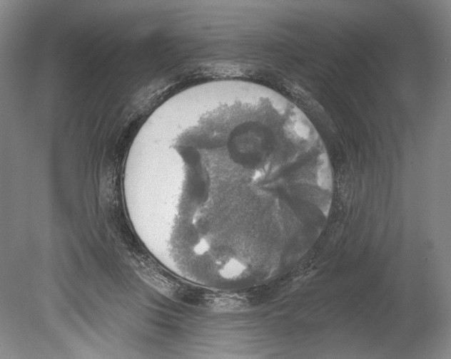 X0000078850359200612111627