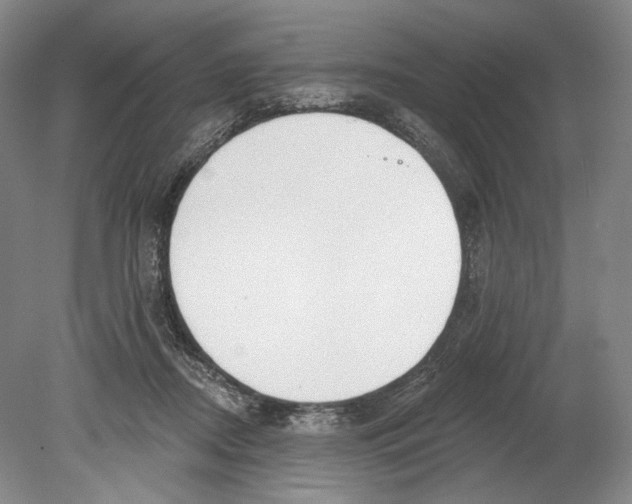 X0000078850362200612111627